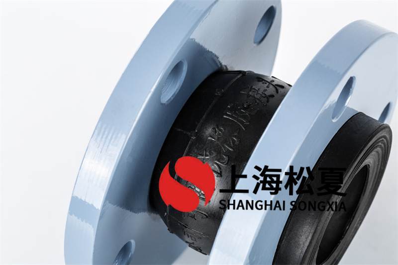 太阳能增压泵用16kg橡胶膨胀节